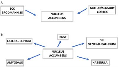 The ventral capsule and ventral striatum—Stereotactic targets for the management of treatment-resistant depression. A systematic literature review